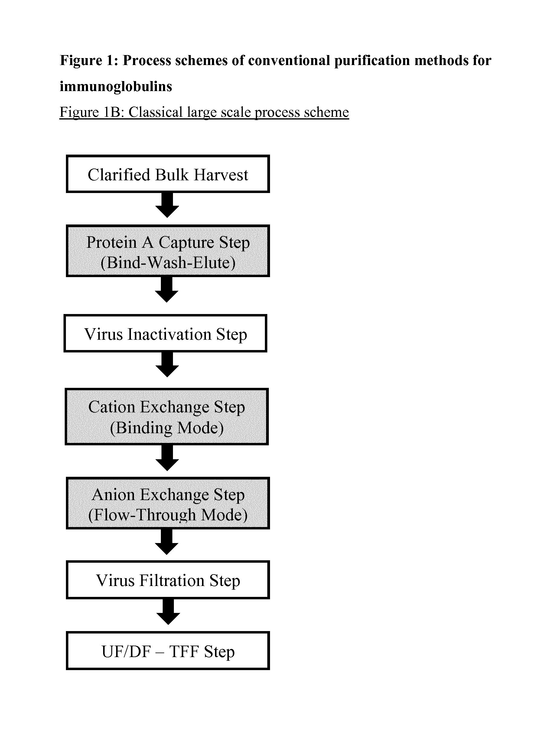 Immunoglobulin purification using pre-cleaning steps