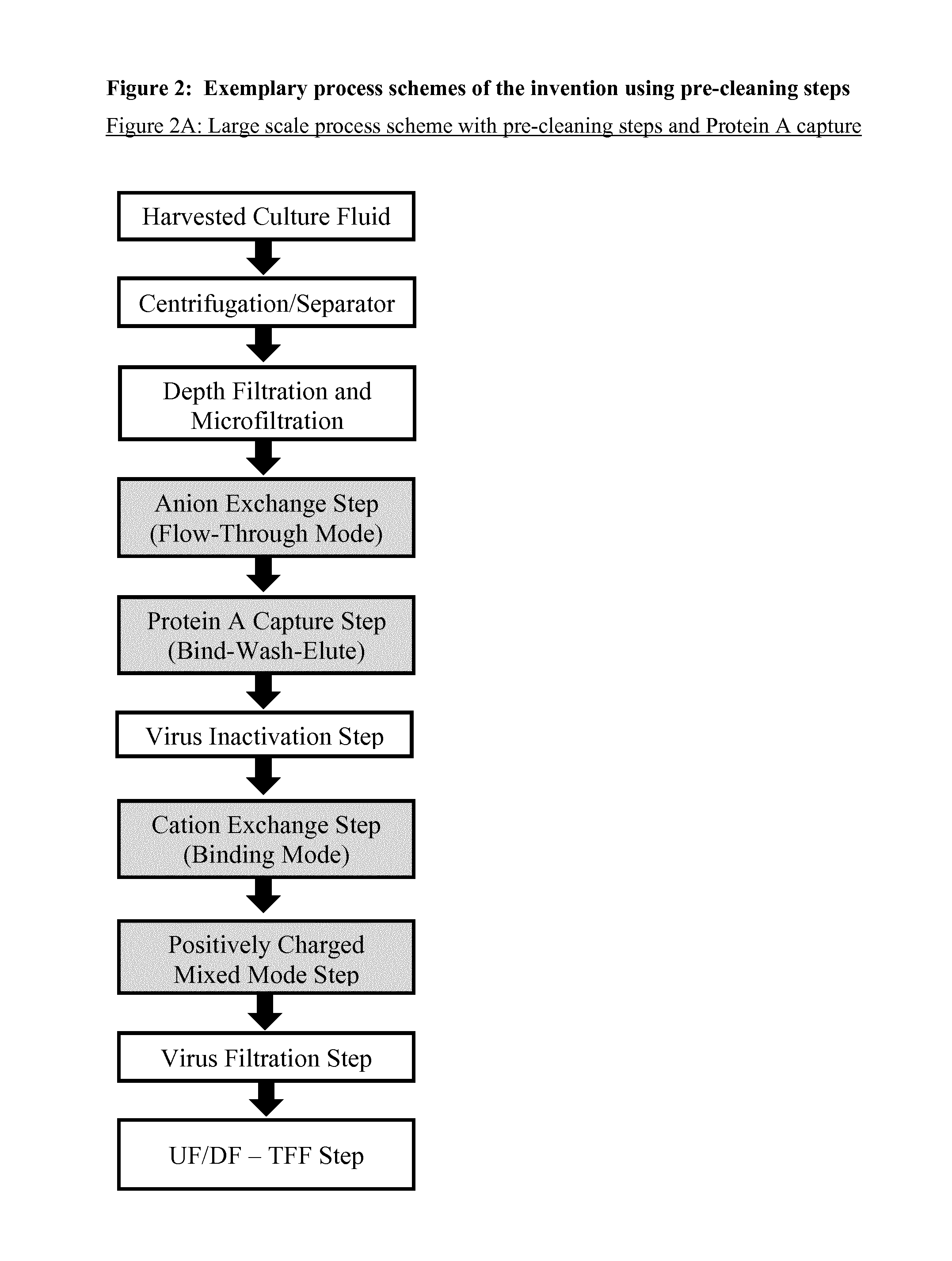 Immunoglobulin purification using pre-cleaning steps