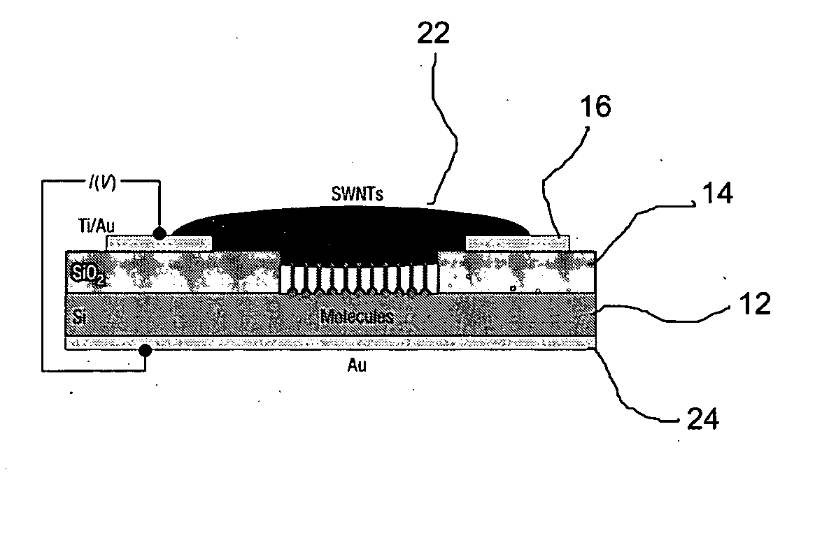 Metal-free silicon-molecule-nanotube testbed and memory device