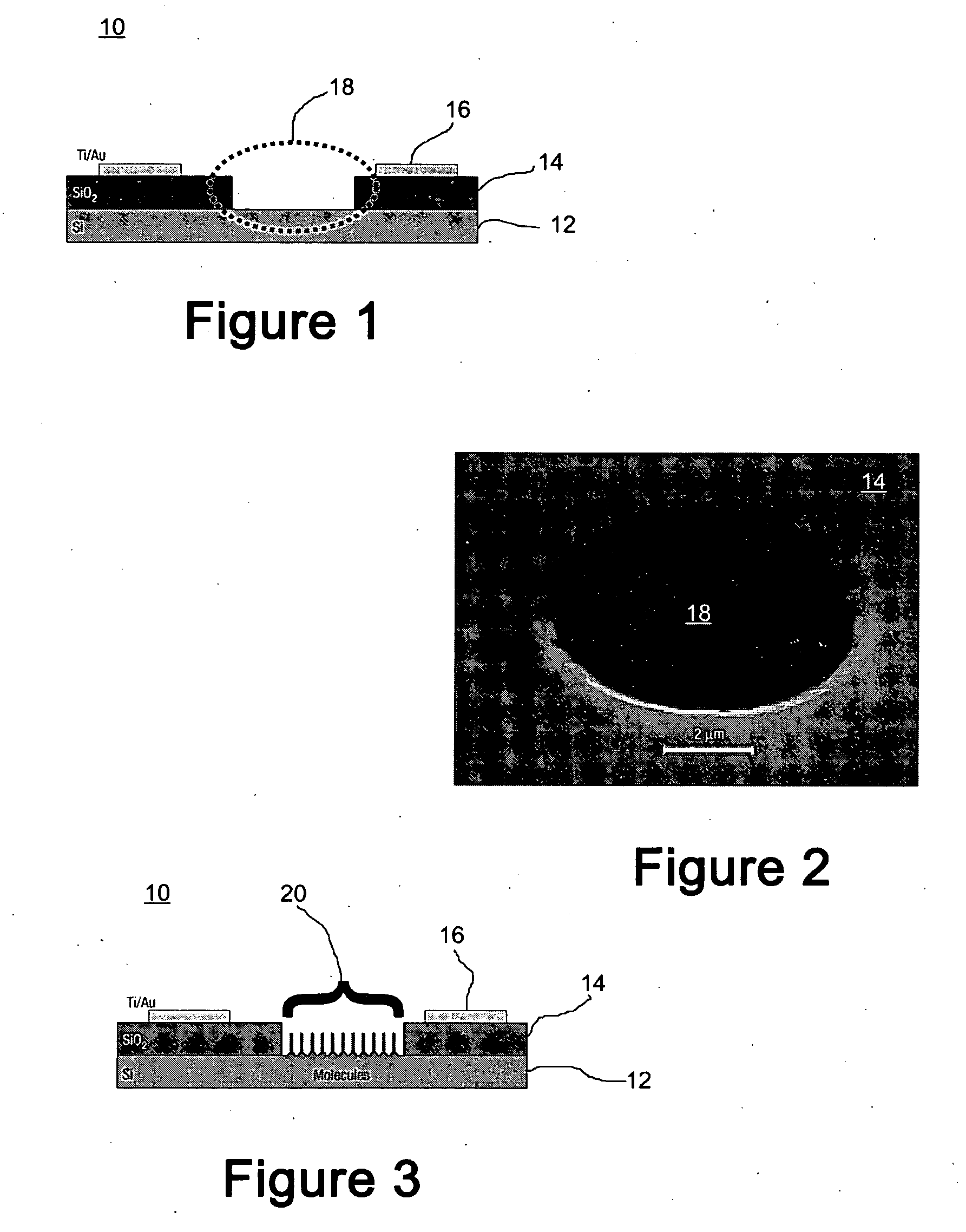 Metal-free silicon-molecule-nanotube testbed and memory device