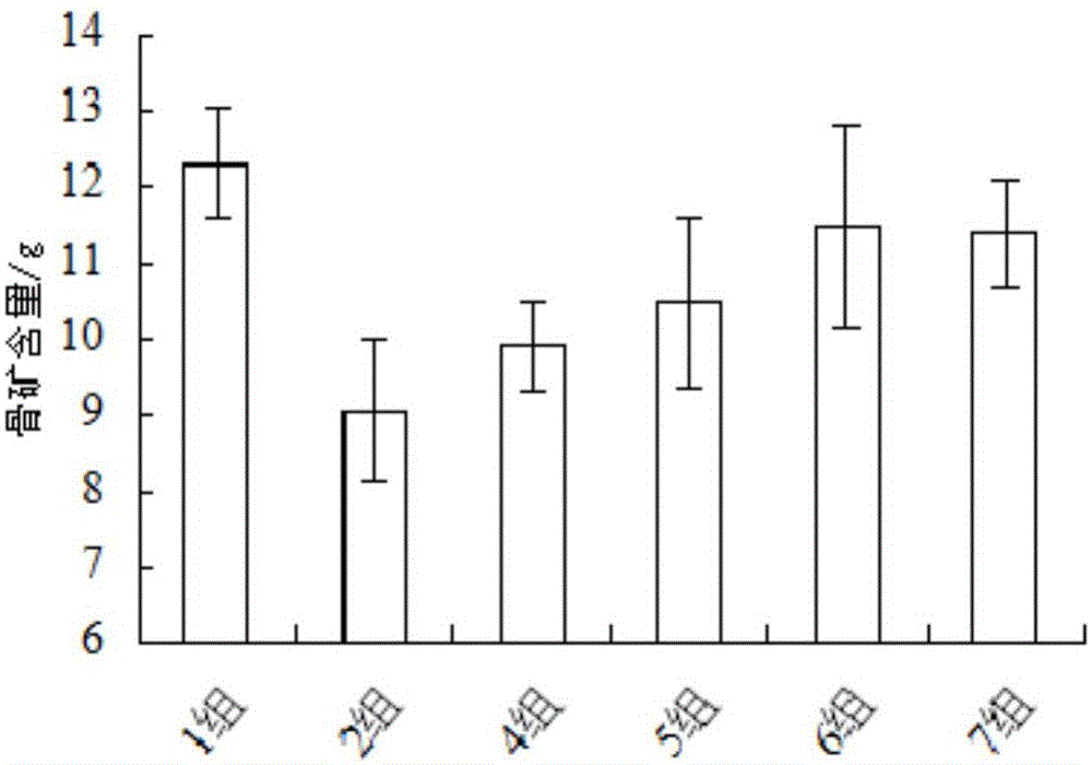 Probiotic preparation for preventing and treating osteoporosis, and preparation method thereof