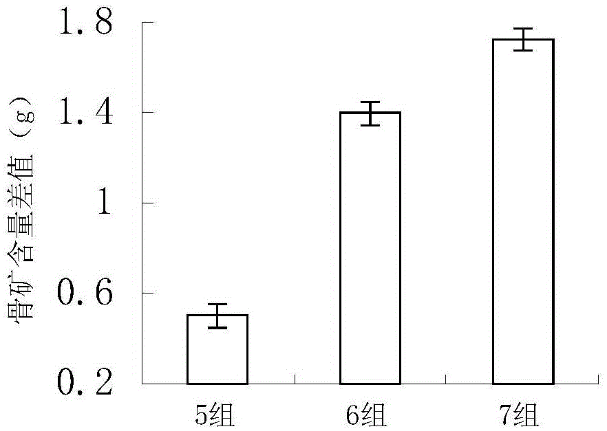 Probiotic preparation for preventing and treating osteoporosis, and preparation method thereof