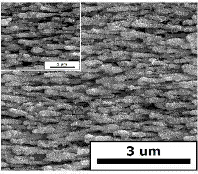 A kind of array type silver nanorod with surface modified gold nanoparticle and preparation method thereof