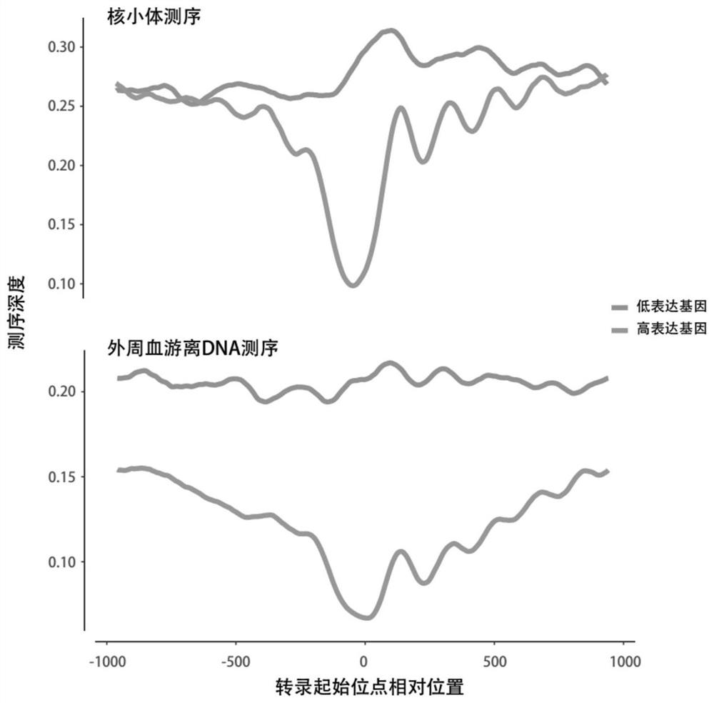 A method for predicting pregnancy-related diseases based on high-throughput sequencing of peripheral blood cell-free DNA