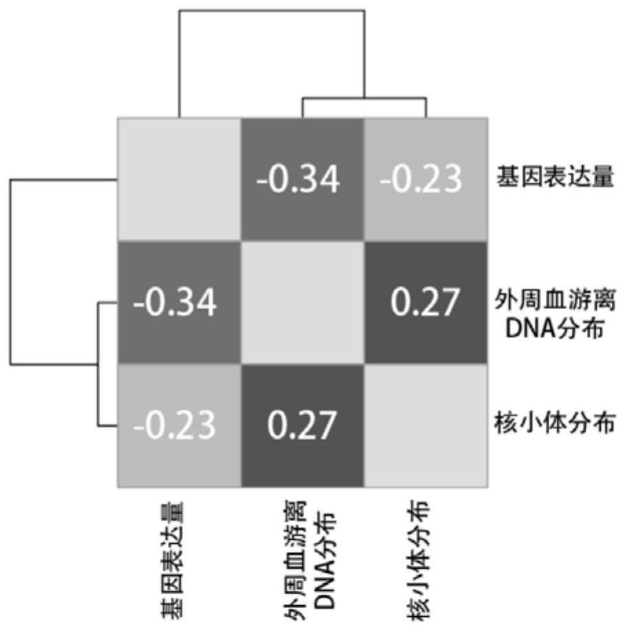 A method for predicting pregnancy-related diseases based on high-throughput sequencing of peripheral blood cell-free DNA