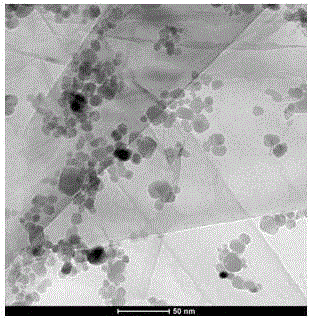 Continuous synthesis method of graphene/ferrite nanocomposite