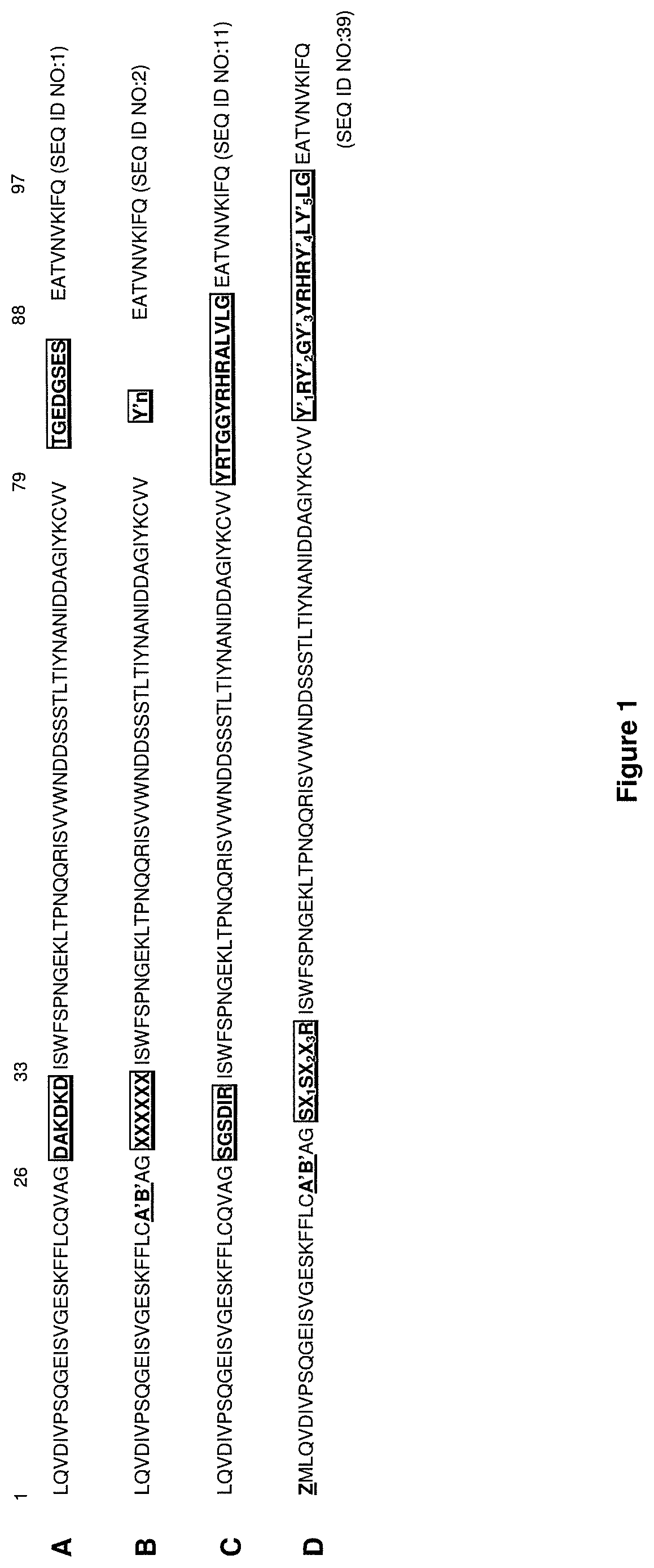 CXCR4 binding molecules and methods of use thereof