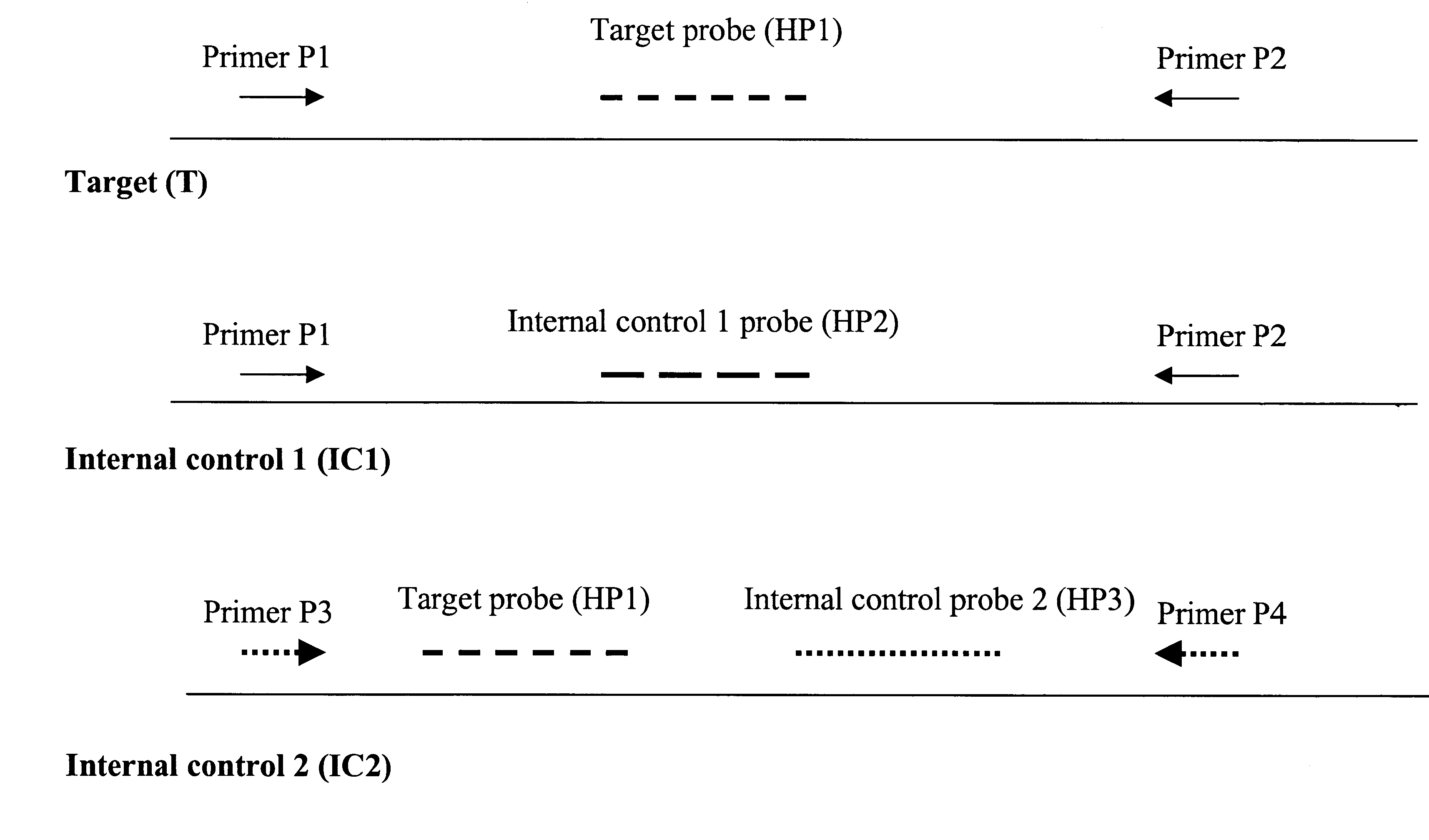 Compositions and methods enabling a totally internally controlled amplification reaction