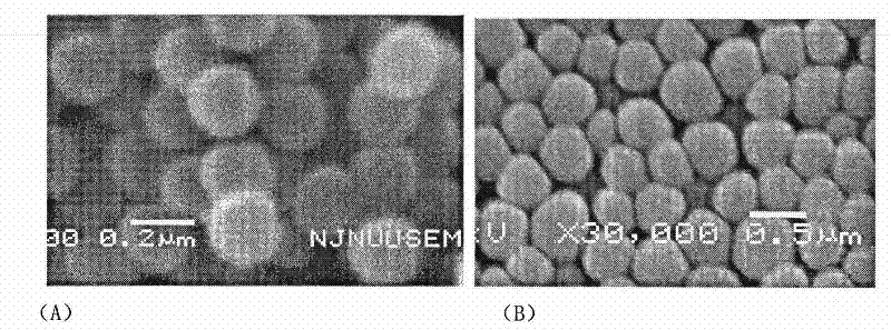 Polyurethane nanometer powder for surface phosphoric acid modification and preparation method thereof