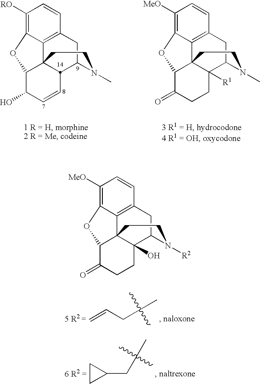 Methods for N-demethylation of morphine and tropane alkaloids