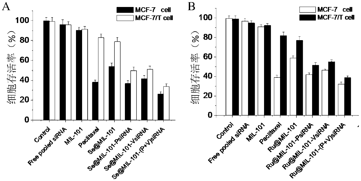 Application of nano-metal-organic framework compound-loaded siRNA in the preparation of anti-tumor drugs