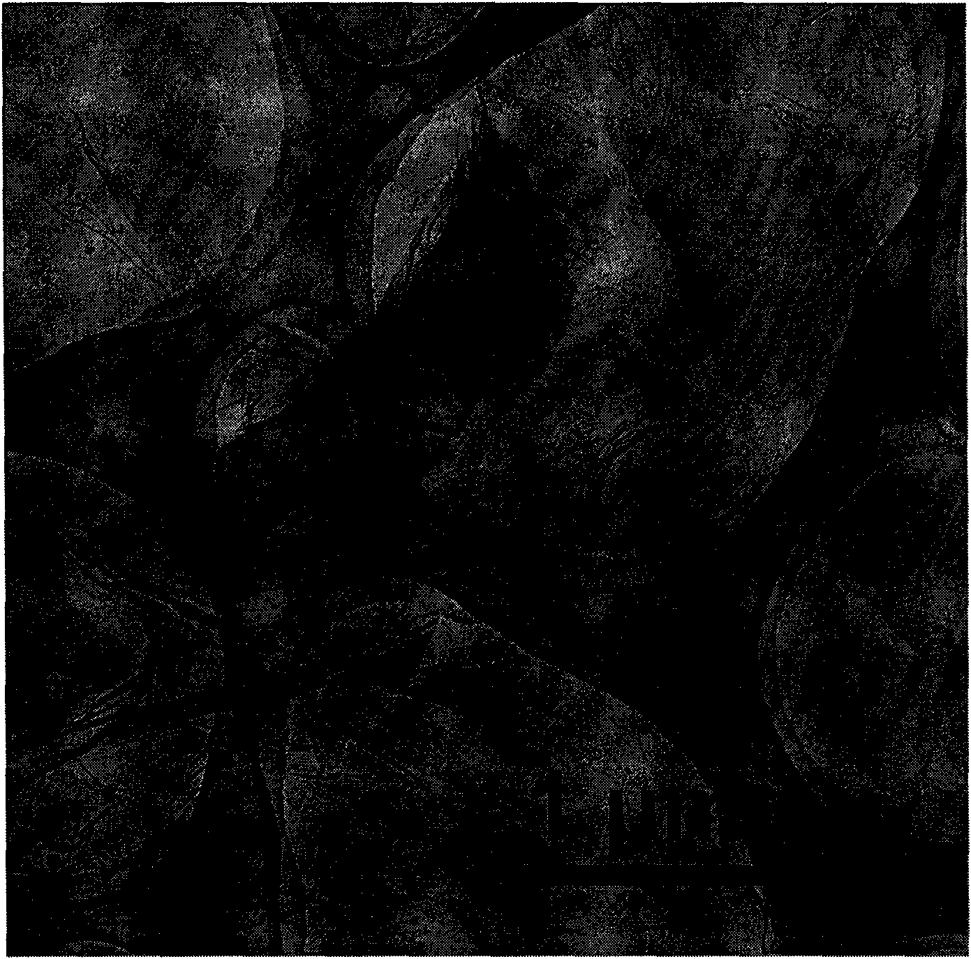 Method for preparing graphite alkenyl nanometer materials by electron beam irradiation method