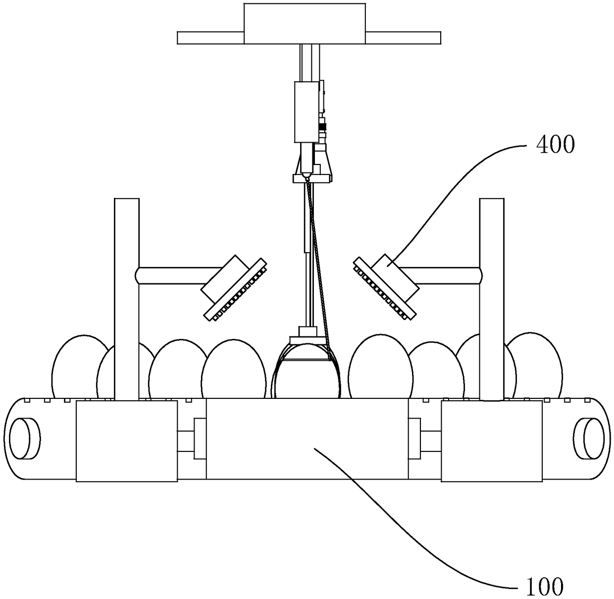 Device and method for gender identification of egg embryo based on heart rate measurement