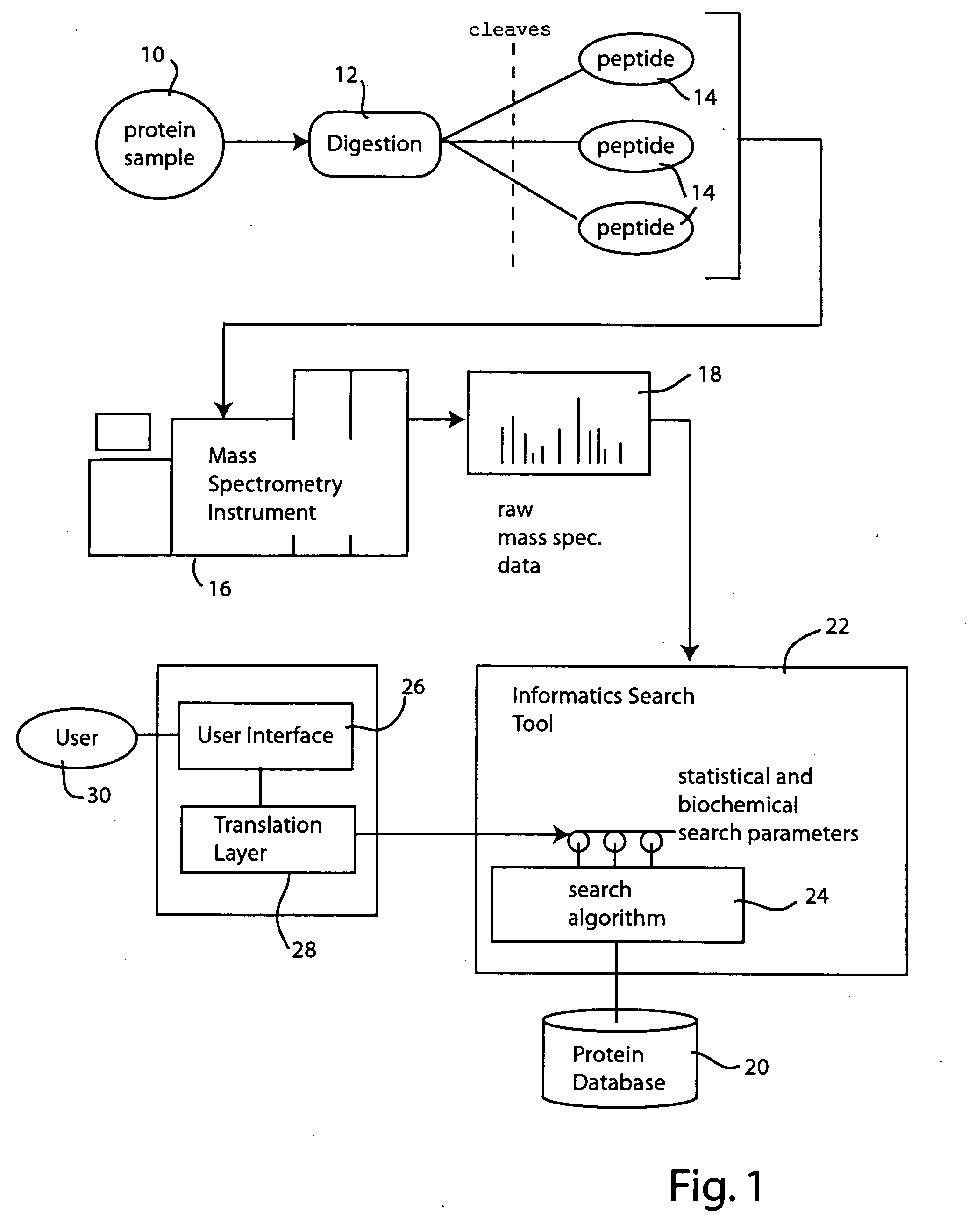 Scientist domain-centric user interface and enabling "soft" translation