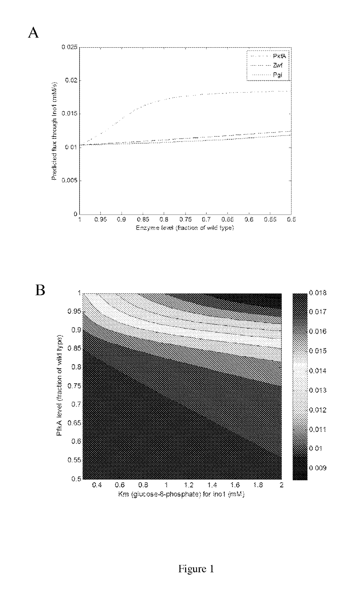 Dynamic knockdown of central metabolism for redirecting glucose-6-phosphate fluxes