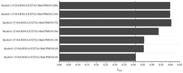 Construction of recombinant bacterium capable of efficiently expressing chitinase and screening of mutant with high enzyme activity