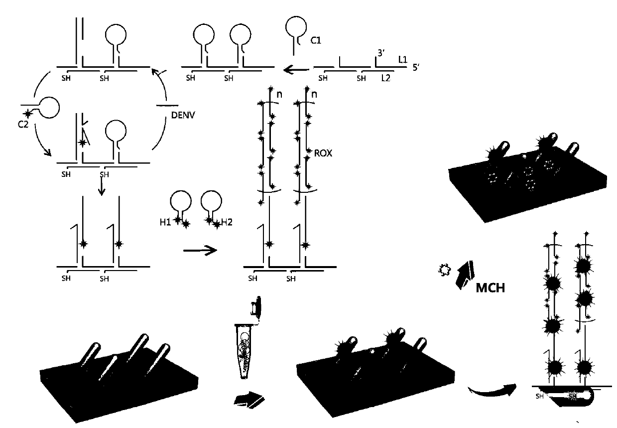 Dengue virus gene fragment SERS detection kit and preparation method thereof