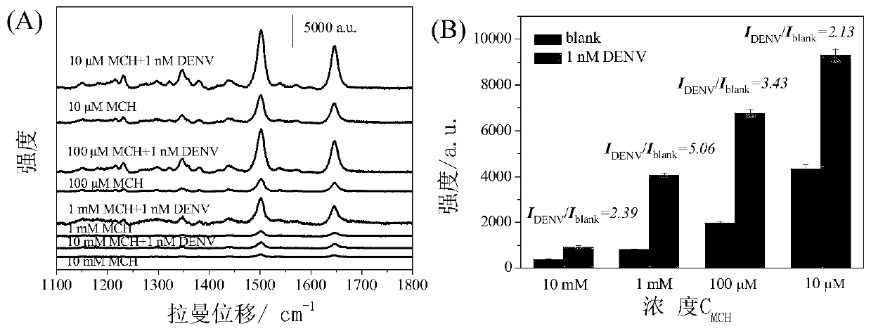 Dengue virus gene fragment SERS detection kit and preparation method thereof