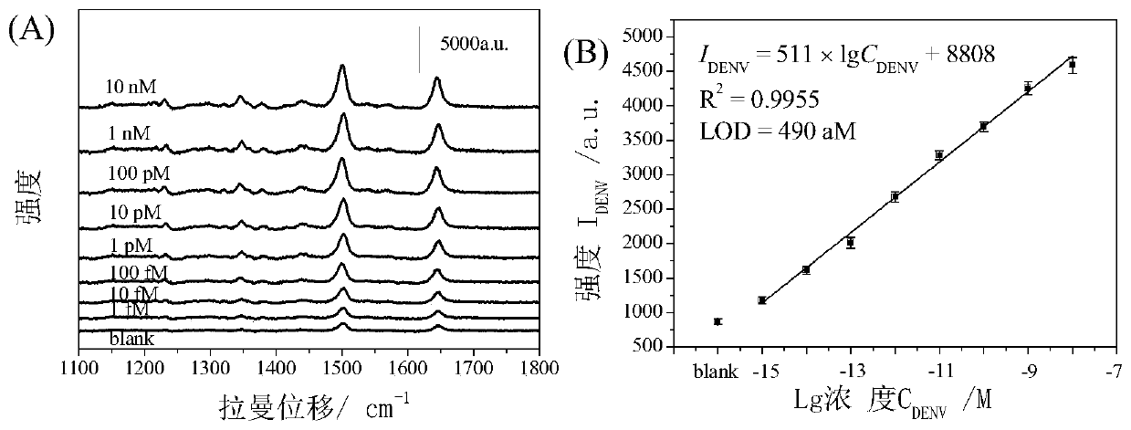 Dengue virus gene fragment SERS detection kit and preparation method thereof