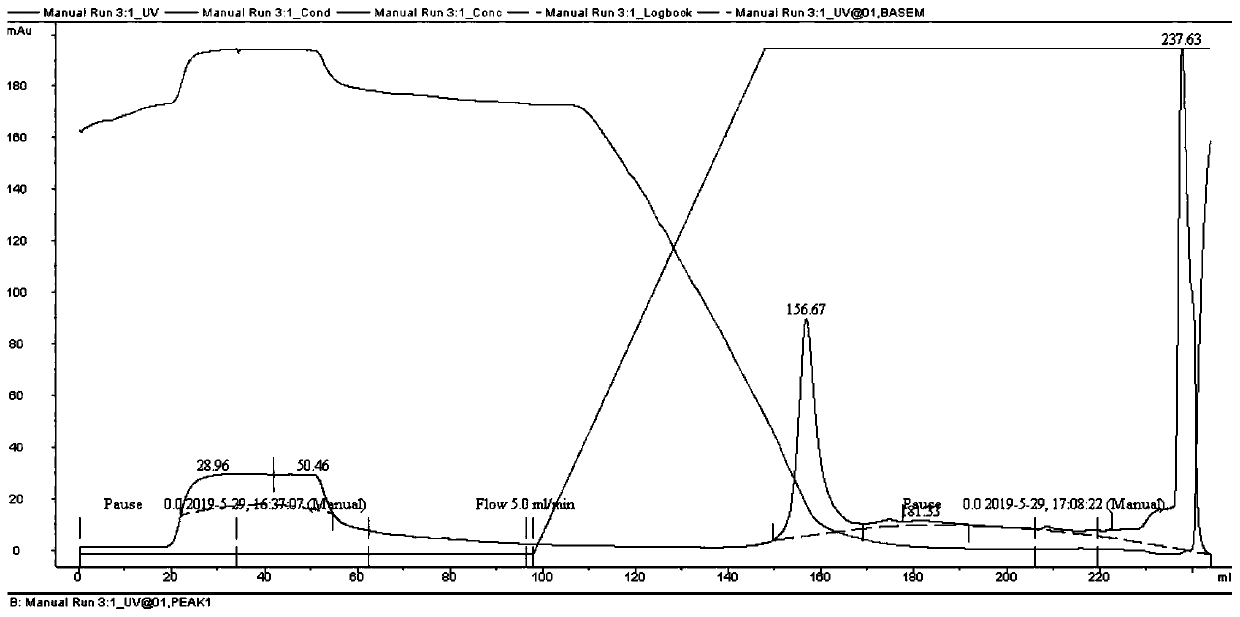 Preparation method of human papillomavirus and heat shock protein recombinant protein