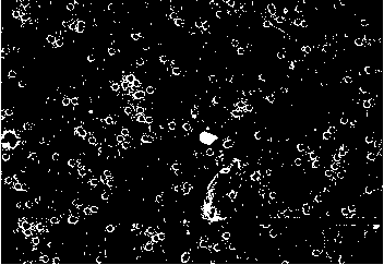 Composite mesoporous film of PETP (polyethylene glycol terephthalate) as well as preparation method and application thereof