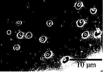 Composite mesoporous film of PETP (polyethylene glycol terephthalate) as well as preparation method and application thereof