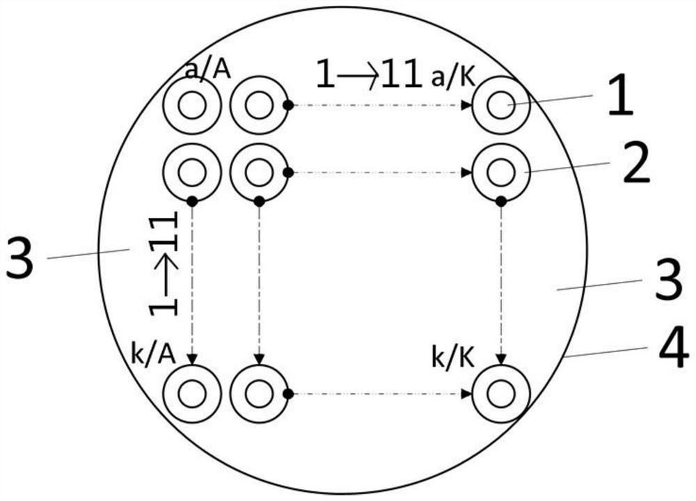 Cnt assembled film modified steel wire array electrode, preparation method and application thereof