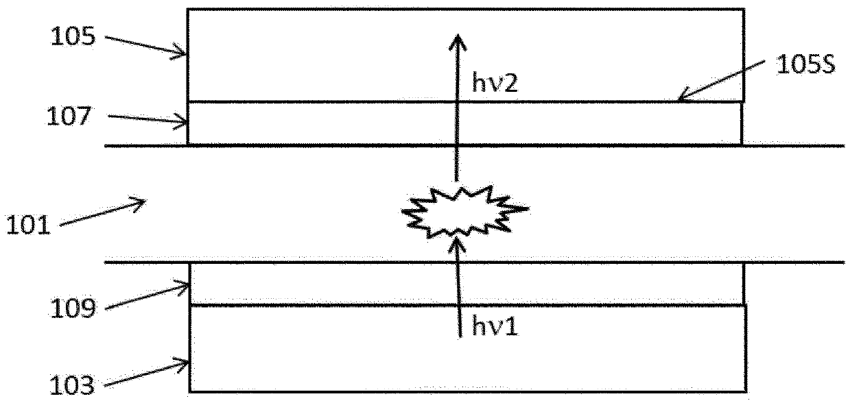 Light filter and sensor