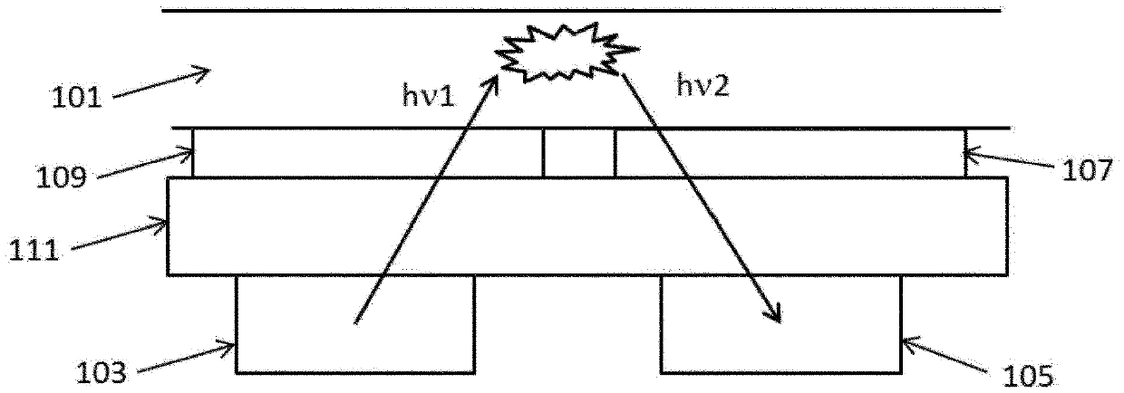 Light filter and sensor