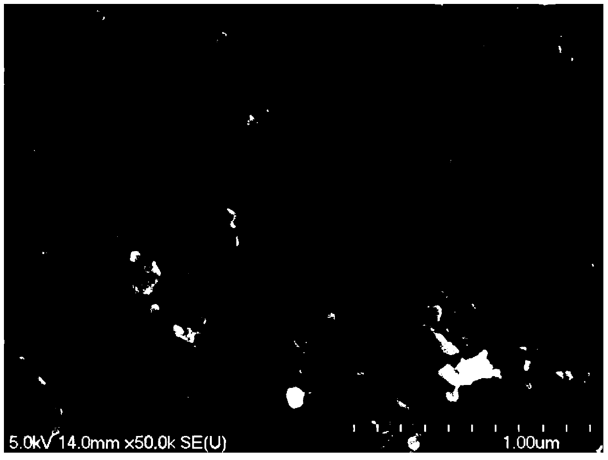 Carbon nano tube dispersion liquid and preparation method thereof