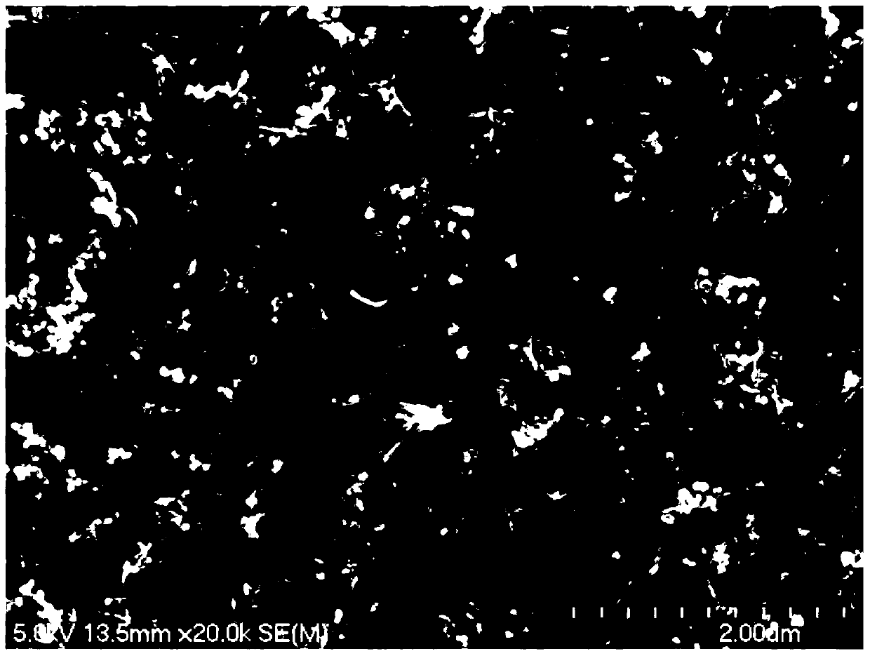 Carbon nano tube dispersion liquid and preparation method thereof