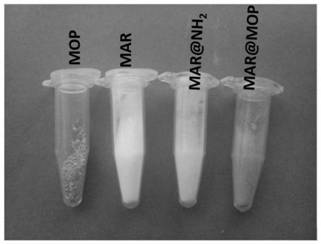 A microporous polymer-coated hydrophilic resin and its application in glycopeptide enrichment