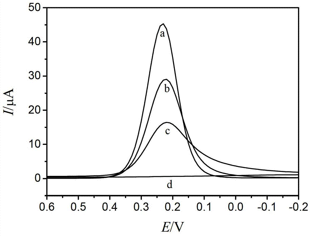 Aspirin molecule imprint electrochemical sensor and preparation method thereof