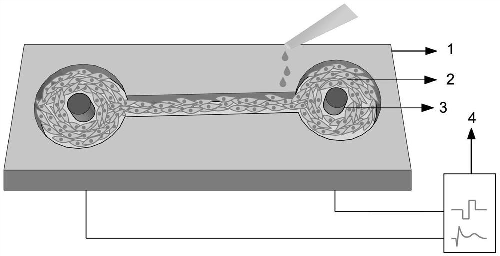 Device on a chip for three-dimensional culture of cells and in situ real-time monitoring of myocardial tissue and its application