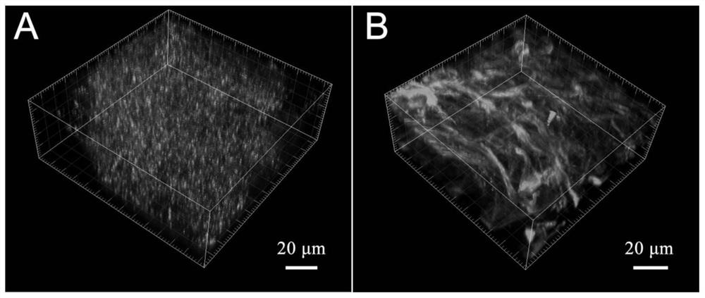 Device on a chip for three-dimensional culture of cells and in situ real-time monitoring of myocardial tissue and its application