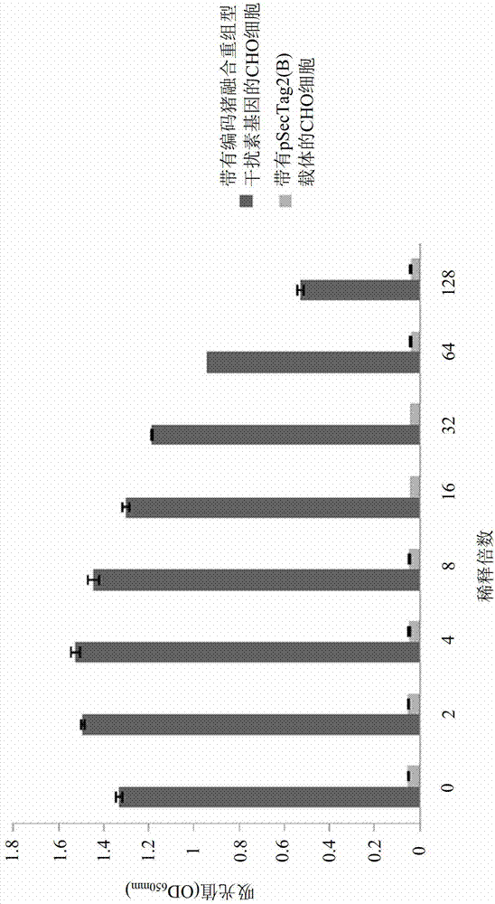 animal fusion recombinant interferon