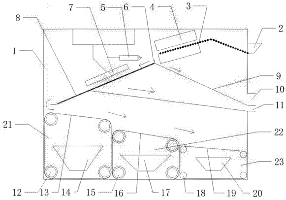 Fresh fruit sorting device and method and application thereof