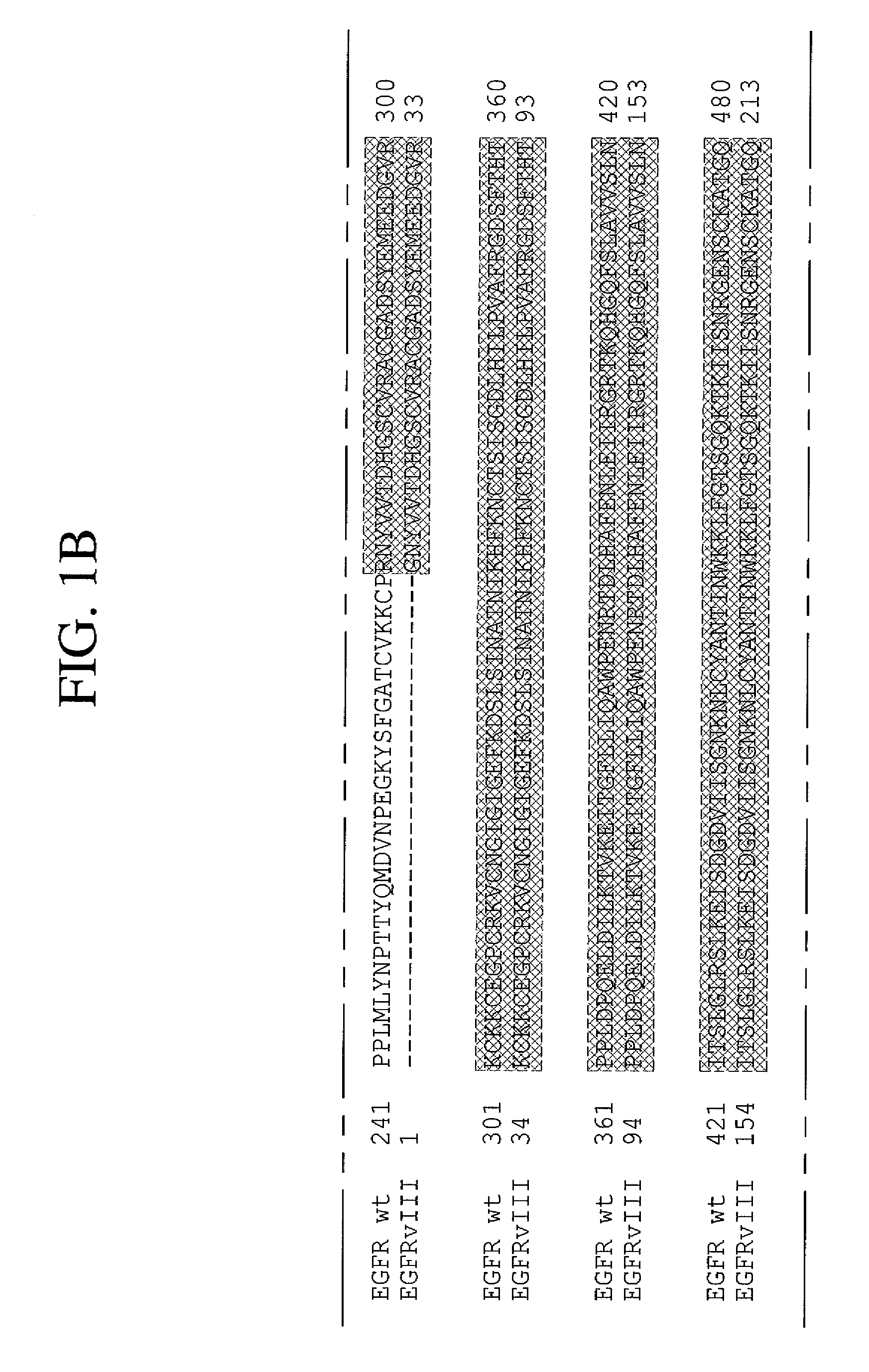 Antibodies directed to the deletion mutants of epidermal growth factor receptor and uses thereof