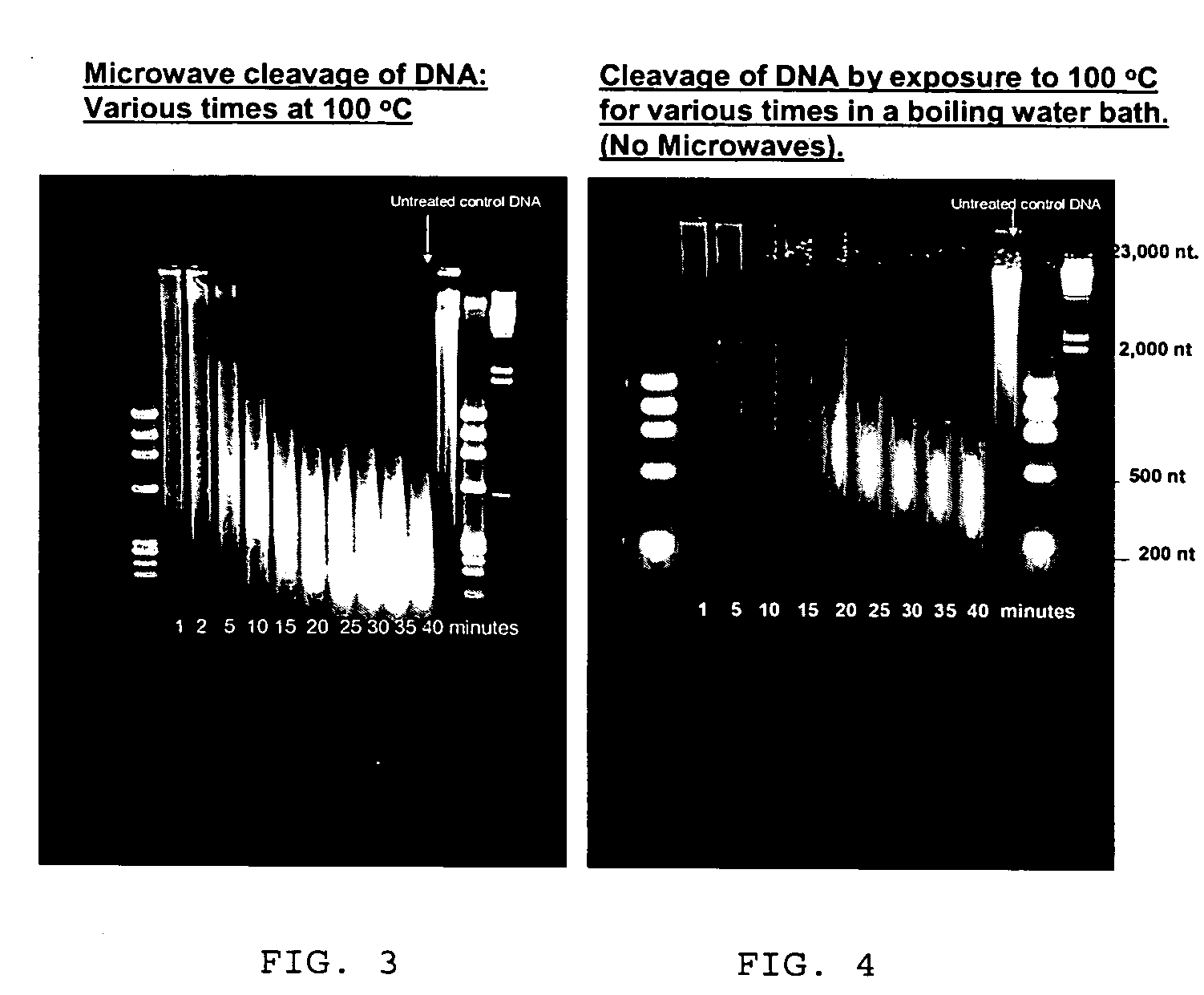 Microwave mediated synthesis of nucleic acid probes