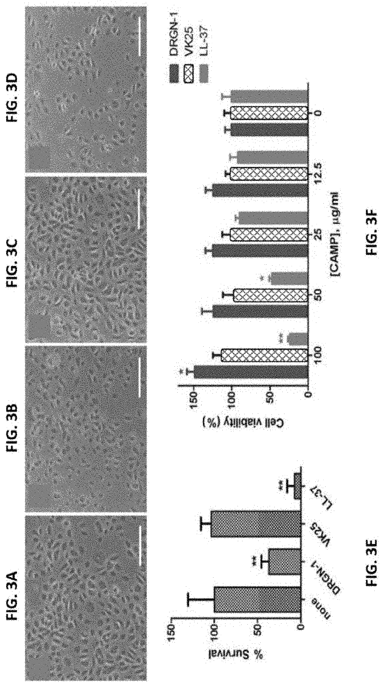 Antimicrobial peptides with wound healing activity