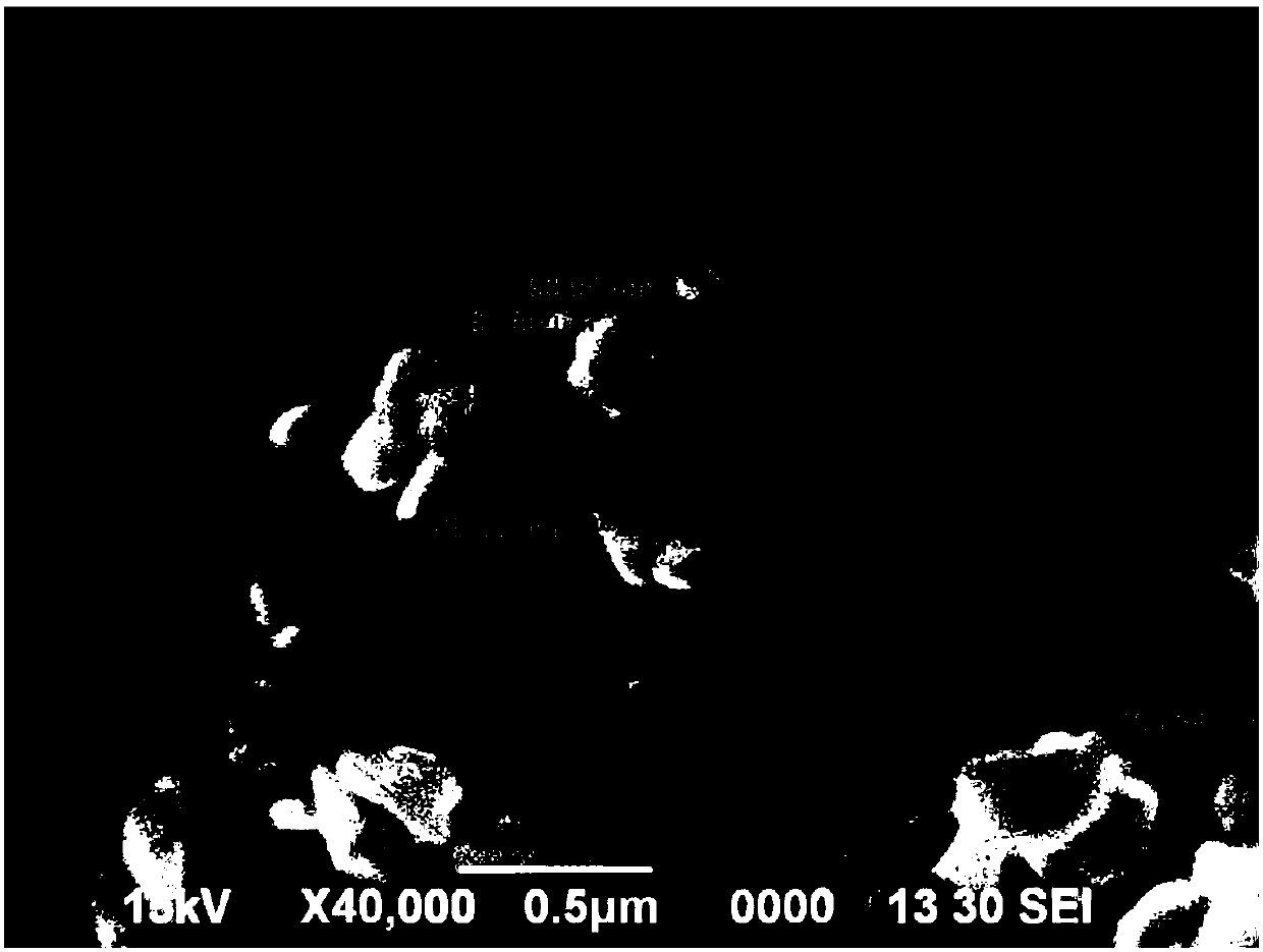 Chemical method for preparing nanoscale flaked silver powder