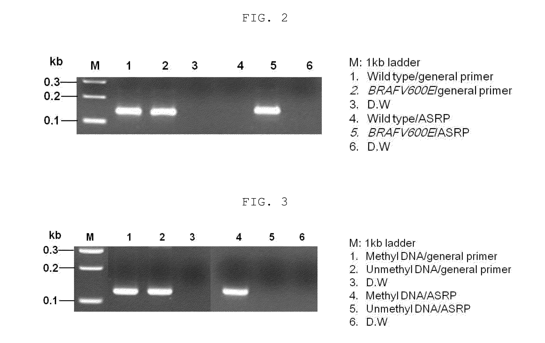 Nucleic acid amplification method using allele-specific reactive primer