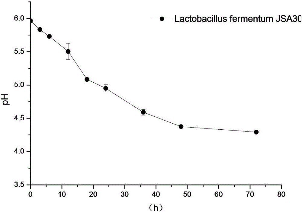 Lactobacillus fermentum capable of degrading arginine and urea simultaneously