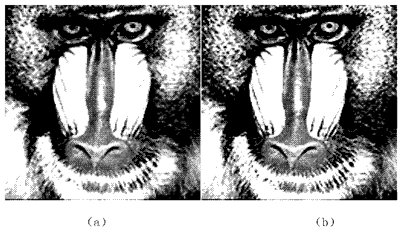 Image zooming method