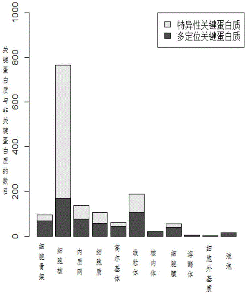 Identification of key proteins based on subcellular localization specificity