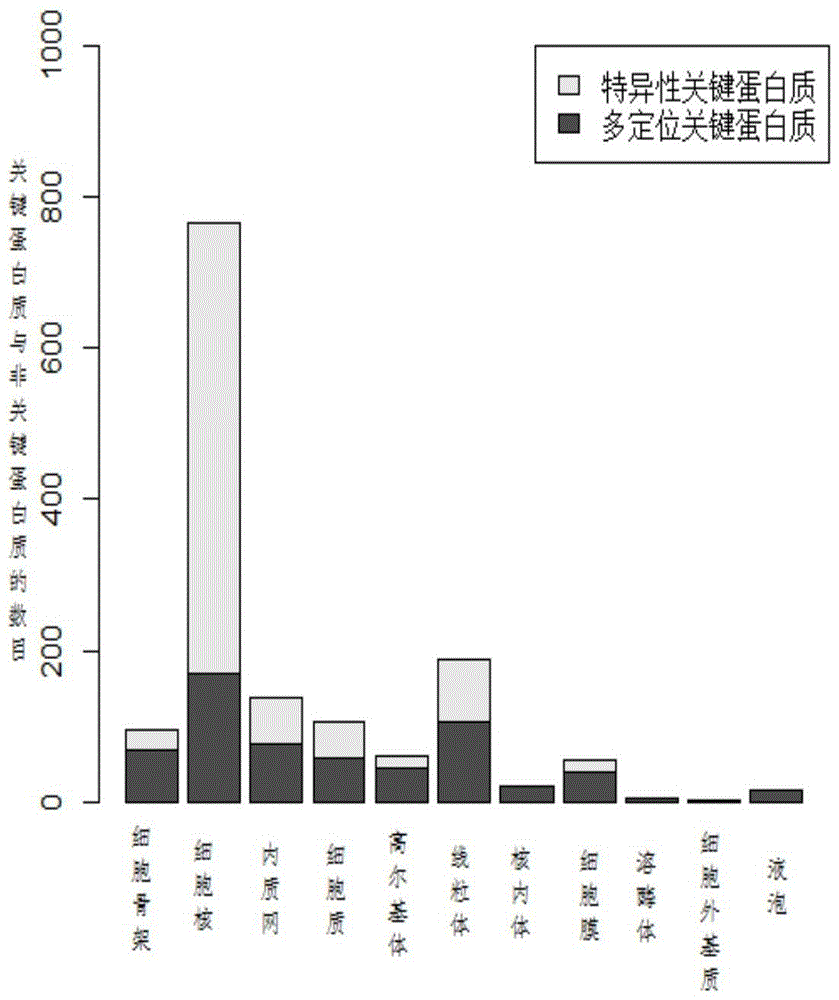 Identification of key proteins based on subcellular localization specificity