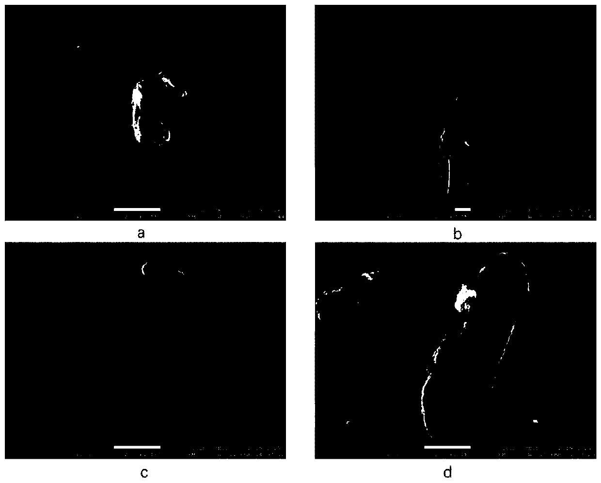 Preparation method and application of co-pyrolyzed biochar of pig bones and bamboo wood