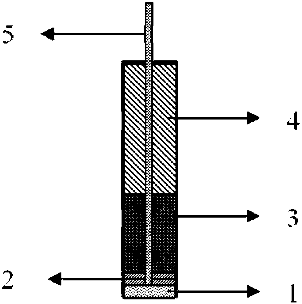 Magnetic electrode based on Fe3O4-AuNPs magnetic composite nanoparticle immobilized acetylcholinesterase and preparation and application thereof