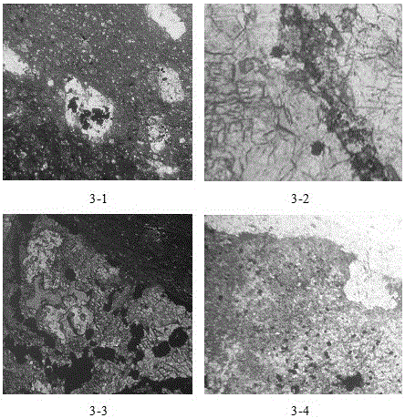 Continental facies fracture-cavity type reservoir stratum identification method