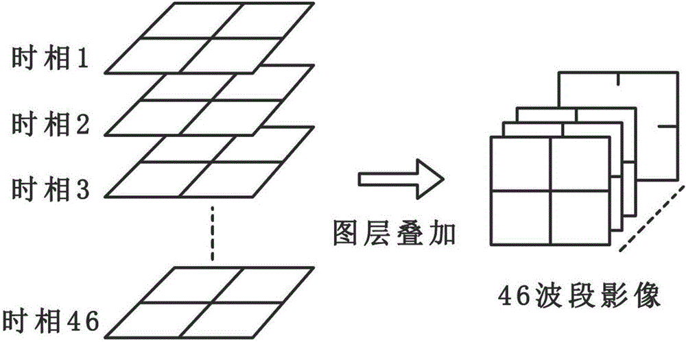 Method for automatically extracting paddy rice growing region based on MODIS